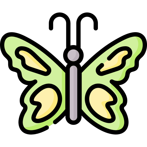 Butterfly zoology entomology nature icon