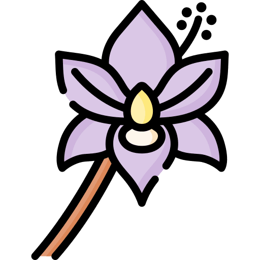 Orchid botanical flowers plant icon