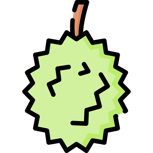 Durian diet vegan healthy food icon