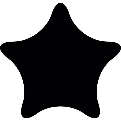 Sheriff star star favorite star shape icon