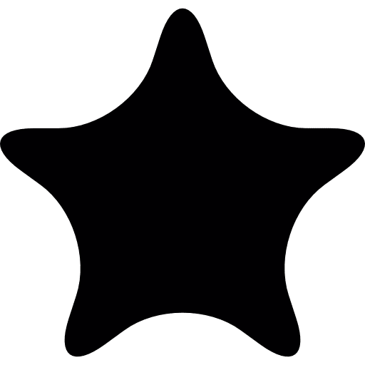 Sheriff star stars agent silhouette icon