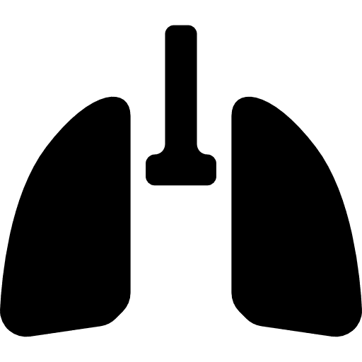 Lungs medical lung breathing icon