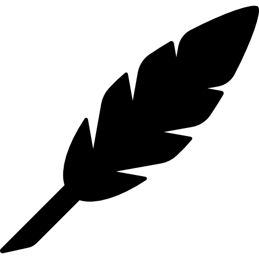 Feather bird feathers ornament icon