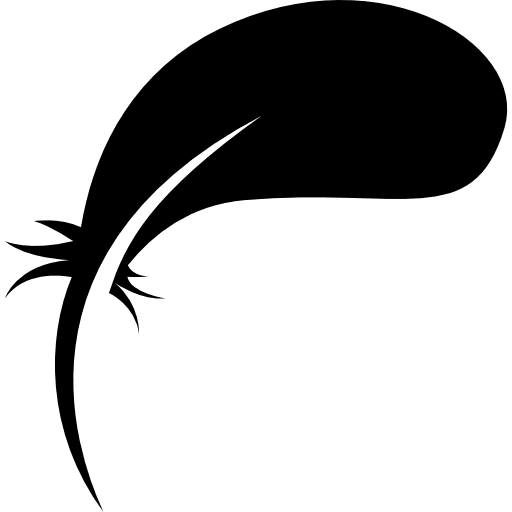 Feather feathers tool ornament icon