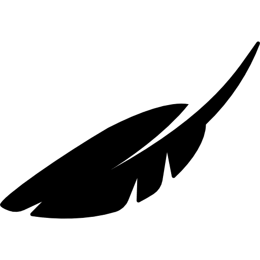 Feather writing sensitive tool icon