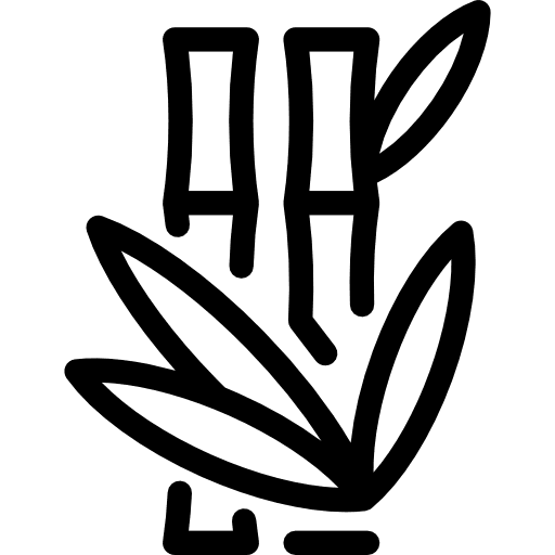 Bamboo sticks spa asian nature icon