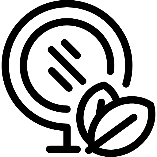 Beauty mirror leaves natural icon