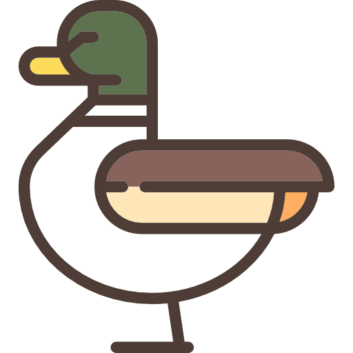 Duck duck animal face icon