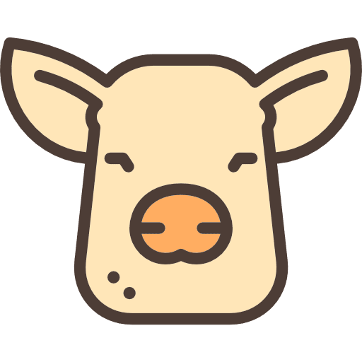 Pig head face pig icon