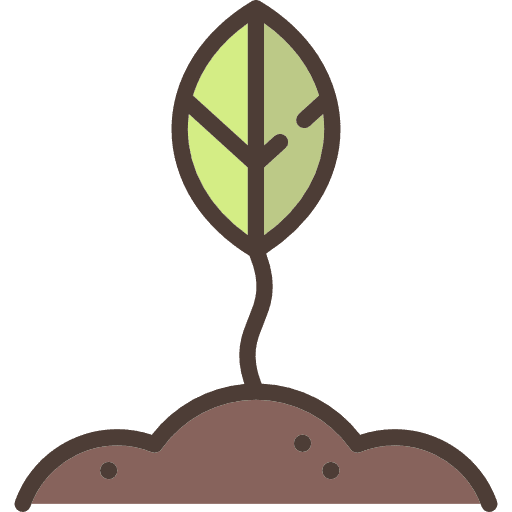 Plant grow nature maturity icon