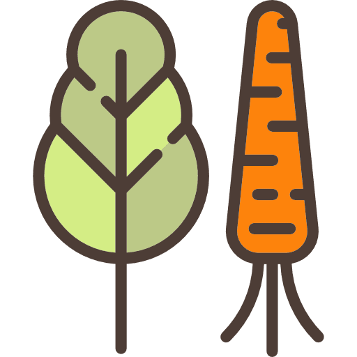 Vegetables organic vegetarian diet icon