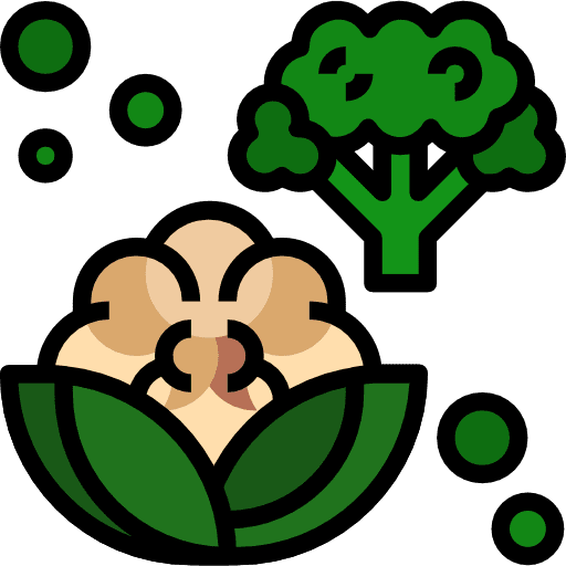 Cauliflower organic healthy food nutrition icon