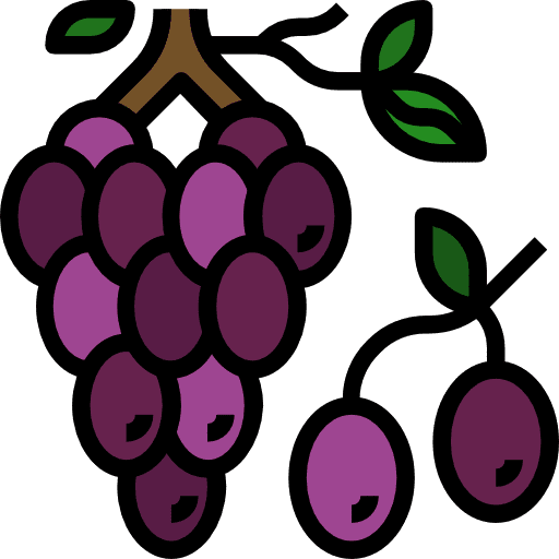 Grapes food and restaurant healthy food fruit icon