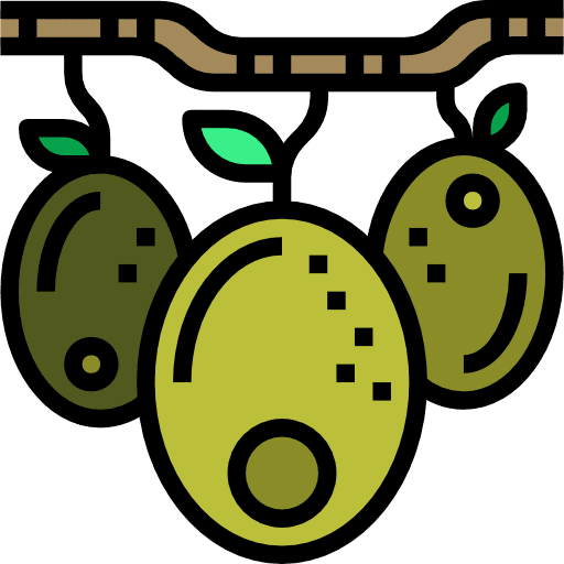 Olives food and restaurant nutrition healthy food icon