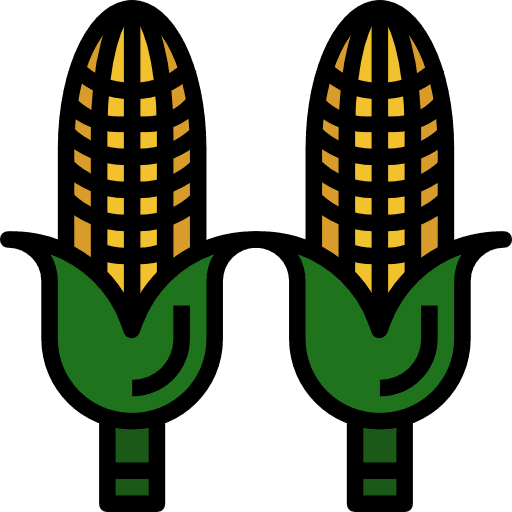 Corn food and restaurant corn organic icon