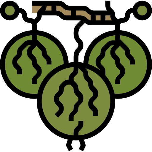 Gooseberry healthy food fruit diet icon
