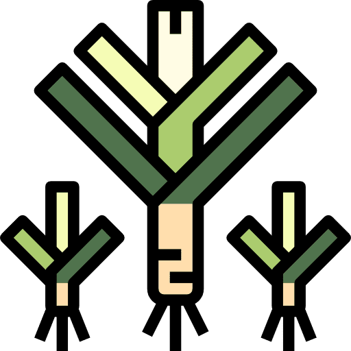 Leek healthy food nutrition diet icon