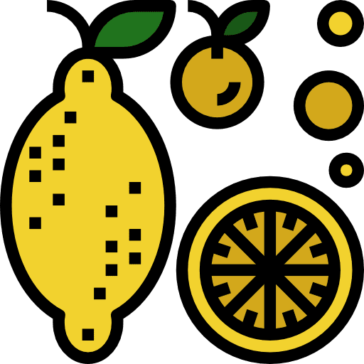 Lemon organic food and restaurant nutrition icon
