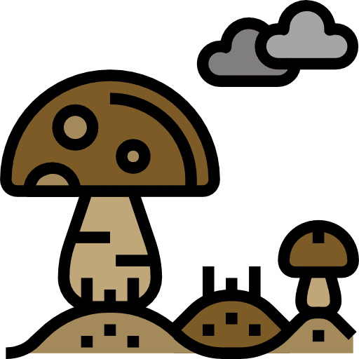 Mushroom healthy food mushroom diet icon