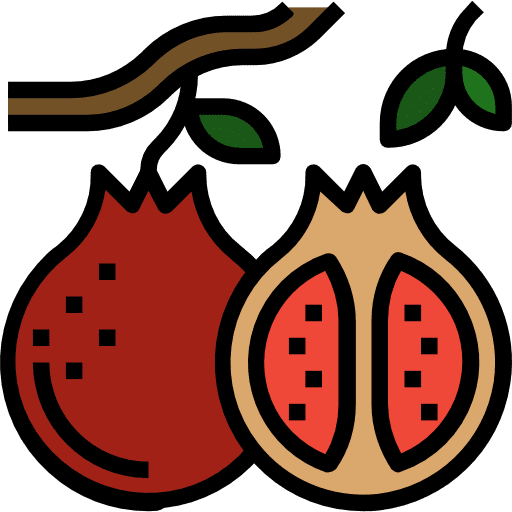Pomegranate pomegranate food and restaurant nutrition icon