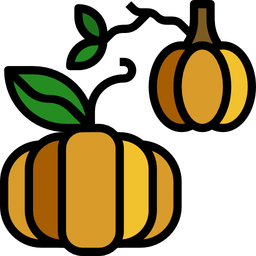 Pumpkin food and restaurant organic nutrition icon