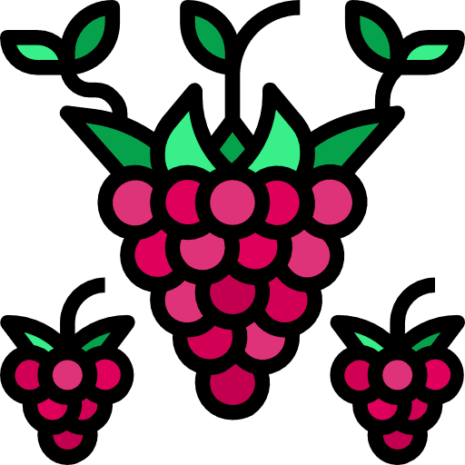 Raspberry nutrition raspberry food and restaurant icon