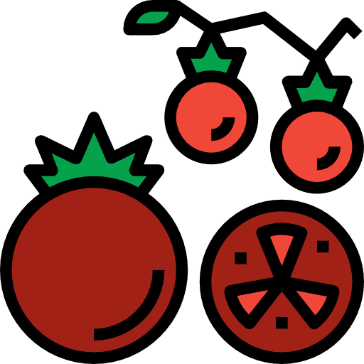 Tomato nutrition organic tomato icon
