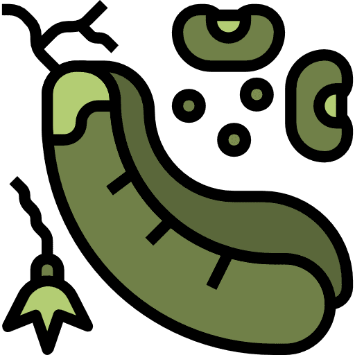 Beans nutrition beans food and restaurant icon