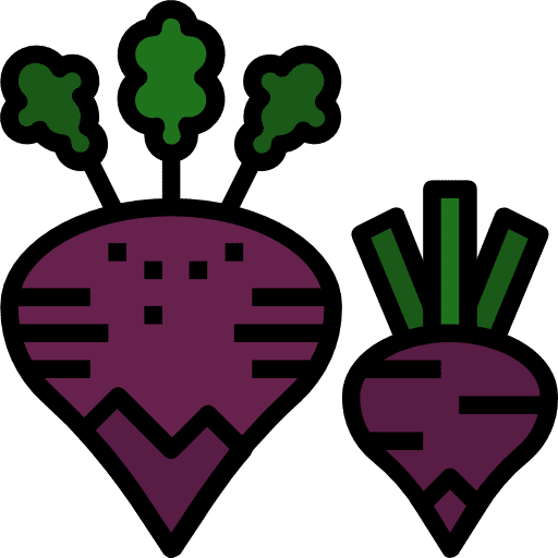 Beet beet diet food and restaurant icon