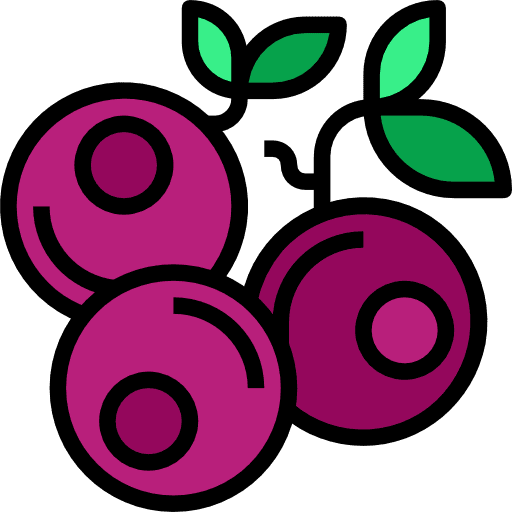 Blueberries vegetables organic diet icon