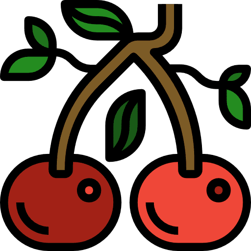 Cherries organic nutrition fruit icon