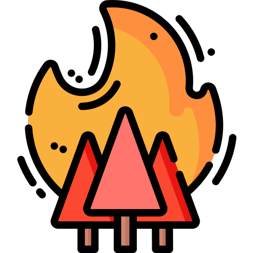 Fire conflagration forest tree icon