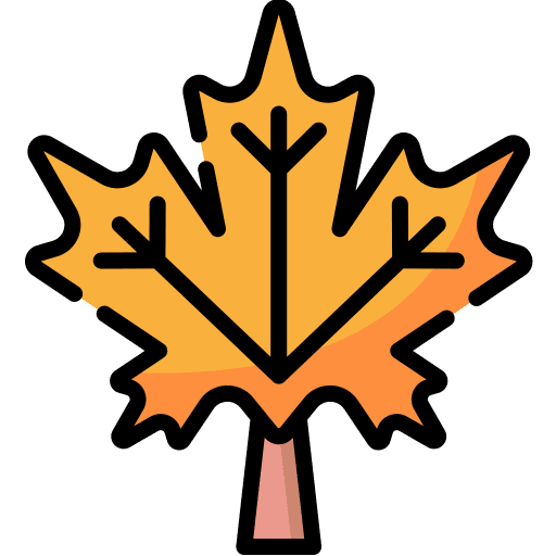 Autumn leaf fall weather icon