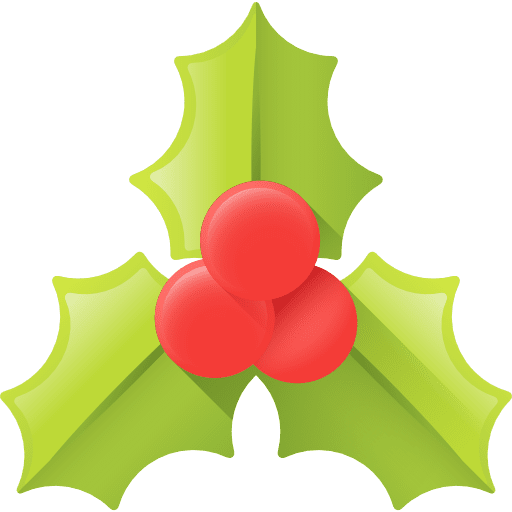 Mistletoe holly mistletoe christmas icon