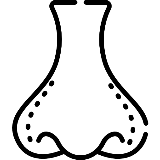 Nose surgery smell body parts icon