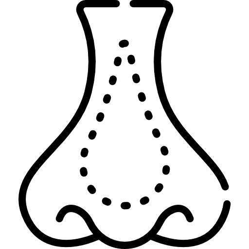 Nose medical aroma symmetry icon