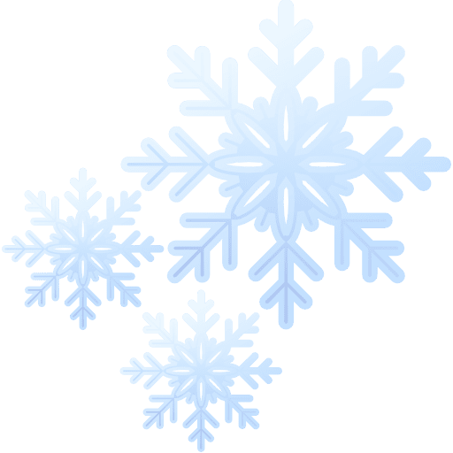 Snowflakes weather christmas winter icon