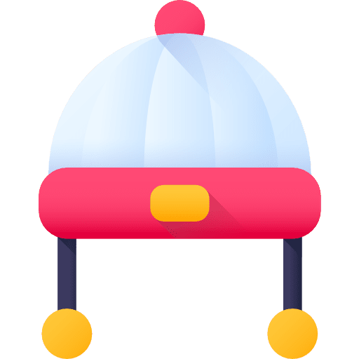 Winter hat beanie warm fashion icon