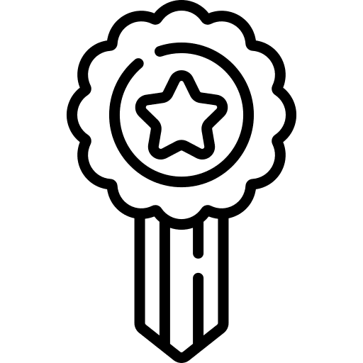 Medal award badge medal icon