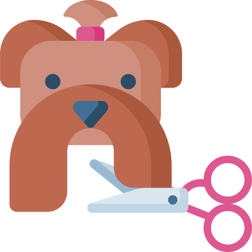 Pet grooming cat hobbies and free time animals icon