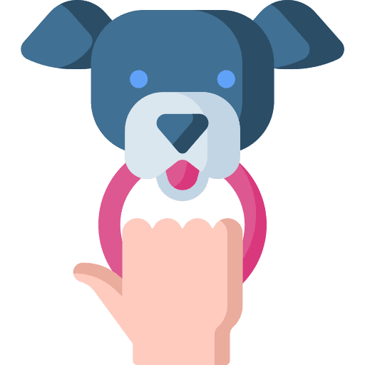 Play with pet animal mammal people icon