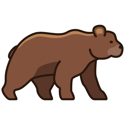 Bear life animals bear icon