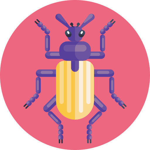 Bug insect bug animals icon