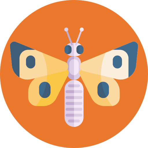 Butterfly animals butterfly insect icon