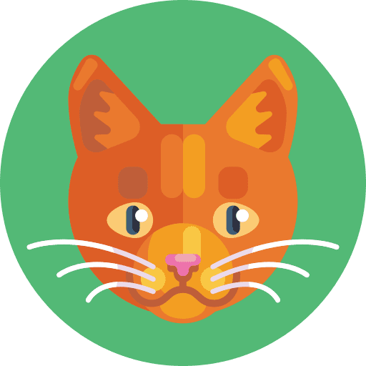 Cat cat animals domestic animals icon