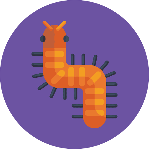 Caterpillar animals caterpillar insect icon