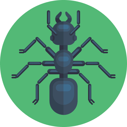 Ant animals animal insect icon