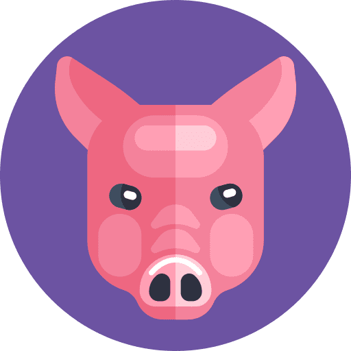 Pig animal animals pig icon