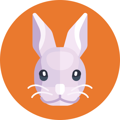 Rabbit bunny rabbit easter bunny icon