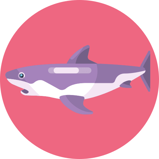 Shark shark animals marine mammal icon